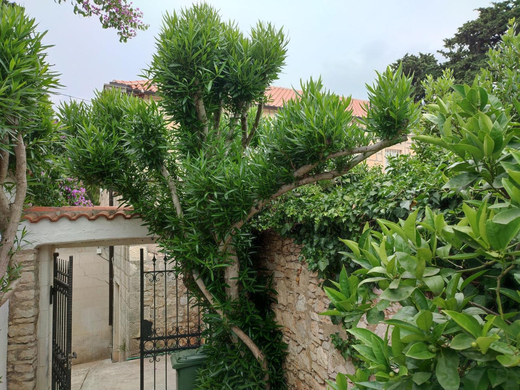 Villa Rustika Sutivan Bagian luar foto